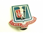 pin, badge, buckle, metal key ring