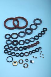 Oil Seal